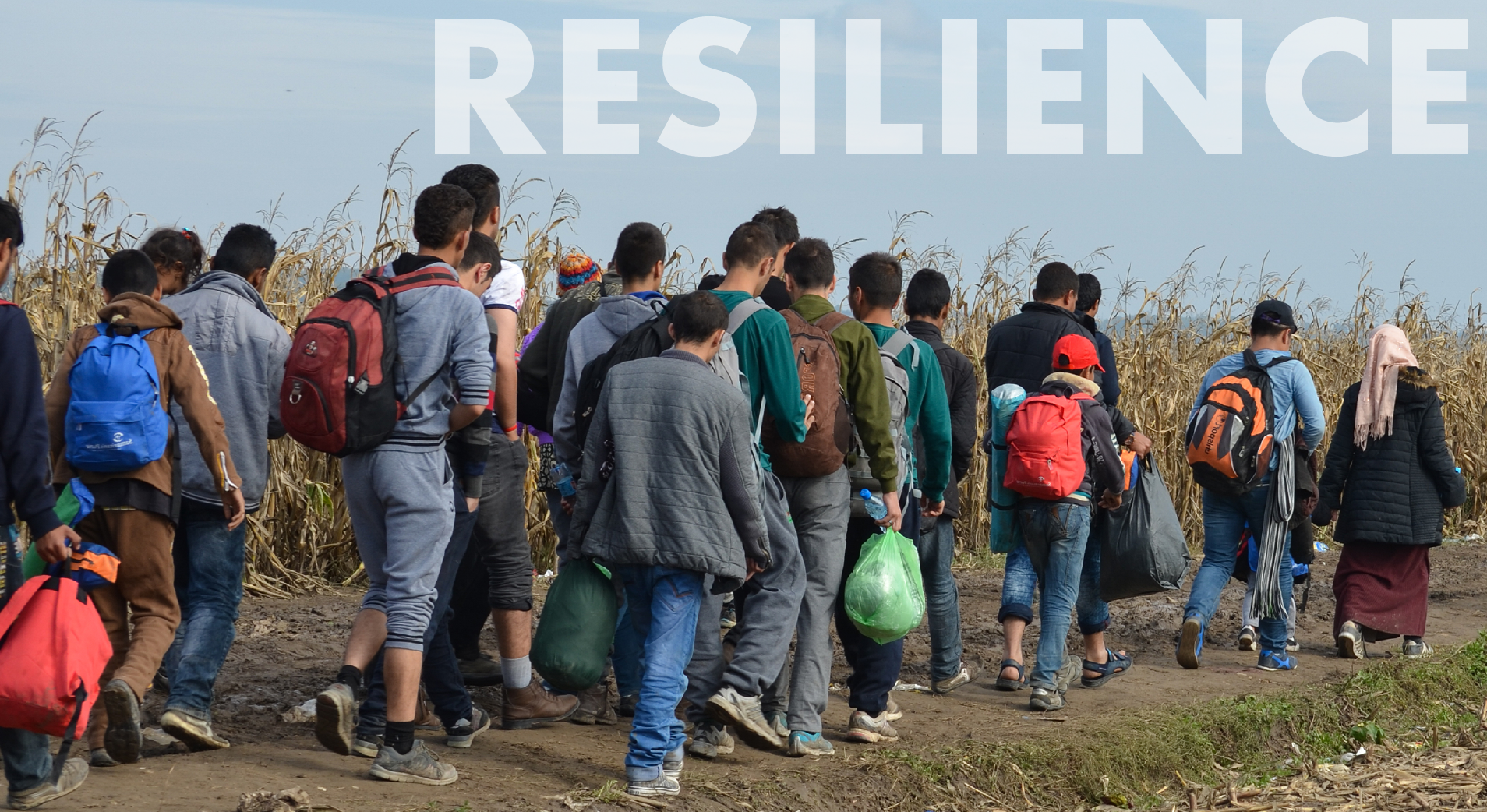 Blog featured image VOICE resilience2